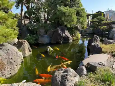 大蓮寺の{uncategorized: "未分類", other: "その他", undefined: "問題あり", building: "その他建物", grave: "お墓", sacred_gate: "鳥居", guardian: "狛犬", statue: "像", buddha: "仏像", history: "歴史", nature: "自然", garden: "庭園", animal: "動物", pagoda: "塔", temizu: "手水舎", mountain_gate: "山門・神門", sanctuary: "本殿・本堂", subordinate: "末社・摂社", art: "芸術", scenery: "景色", jizo: "地蔵", ema: "絵馬", goshuin: "御朱印", omikuji: "おみくじ", items: "授与品その他", amulet: "お守り", goshuincho: "御朱印帳", eats: "食事", festival: "お祭り", votive_dance: "神楽", shichigosan: "七五三参", wedding: "結婚式", experience: "体験その他", initially: "初詣", around: "周辺", anti_infection: "感染症対策"}