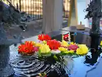 美幌神社(北海道)