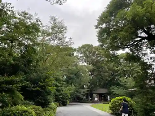 阿佐ヶ谷神明宮の自然