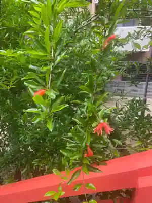 御霊神社堀江行宮(大阪府)