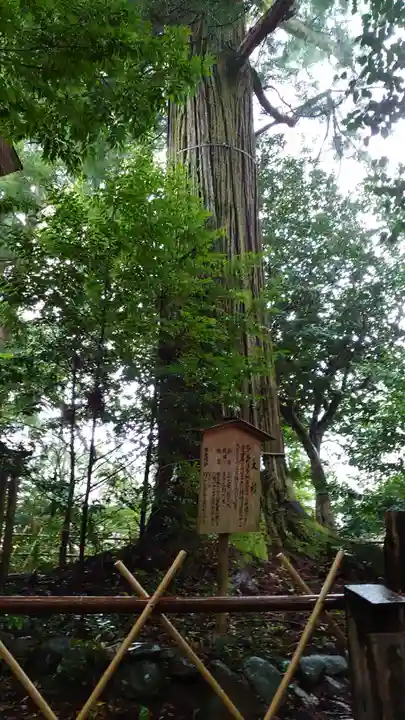 須佐神社の自然