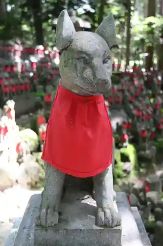 豊川閣　妙厳寺の狛犬