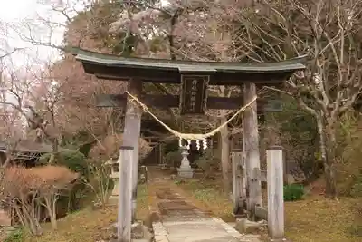 白幡神社の鳥居