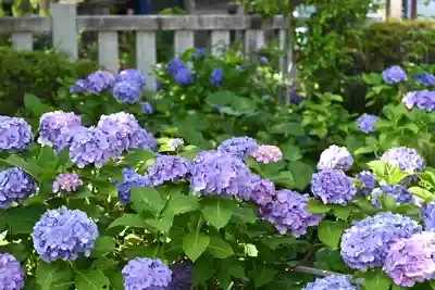 白山神社(東京都)
