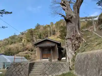 薬師如来堂の本殿・本堂