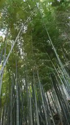 報国寺(神奈川県)