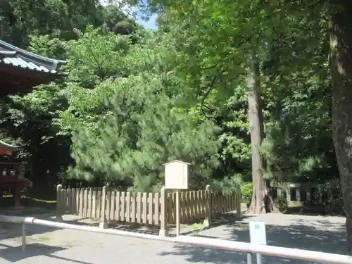 伊豆山神社(静岡県)