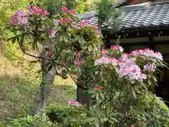 牟禮山観音禅寺の自然