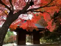 普門寺(切り絵御朱印発祥の寺)の山門