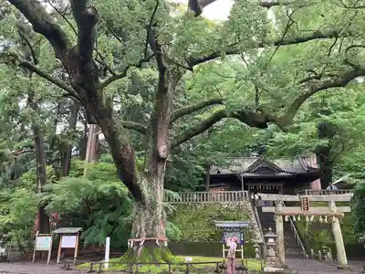 事任八幡宮(静岡県)