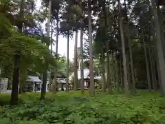 賀茂神社(福井県)