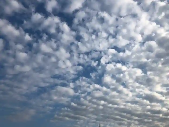 高司神社〜むすびの神の鎮まる社〜の自然