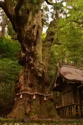 大杵社(大分県)