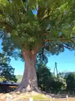 津江神社(福岡県)