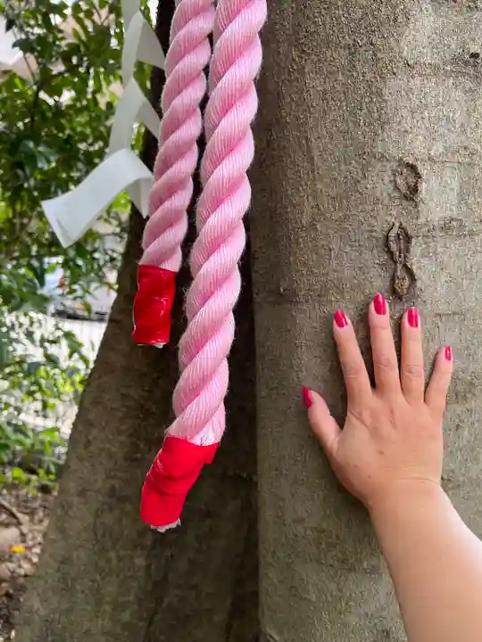 伊和志津神社(兵庫県)