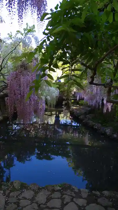 歌泉堂(春日大社神苑萬葉植物園内鎮座)(奈良県)