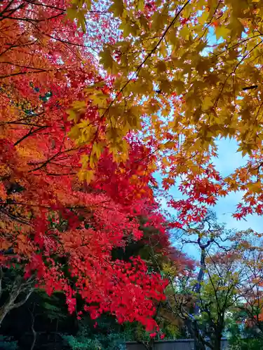 詩仙堂（丈山寺）の庭園