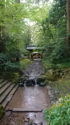 彌彦神社(新潟県)
