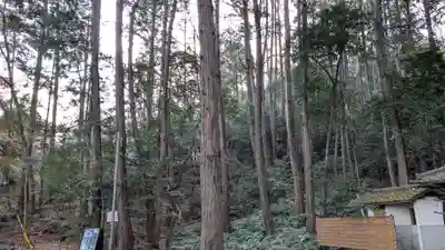 下居神社の自然