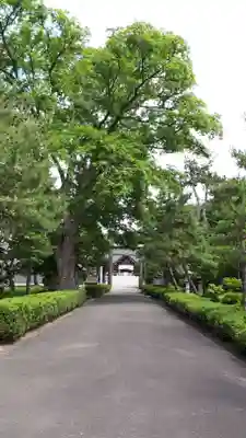 当別神社のその他建物