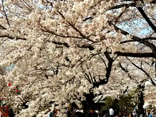 櫻岡大神宮の{uncategorized: "未分類", other: "その他", undefined: "問題あり", building: "その他建物", grave: "お墓", sacred_gate: "鳥居", guardian: "狛犬", statue: "像", buddha: "仏像", history: "歴史", nature: "自然", garden: "庭園", animal: "動物", pagoda: "塔", temizu: "手水舎", mountain_gate: "山門・神門", sanctuary: "本殿・本堂", subordinate: "末社・摂社", art: "芸術", scenery: "景色", jizo: "地蔵", ema: "絵馬", goshuin: "御朱印", omikuji: "おみくじ", items: "授与品その他", amulet: "お守り", goshuincho: "御朱印帳", eats: "食事", festival: "お祭り", votive_dance: "神楽", shichigosan: "七五三参", wedding: "結婚式", experience: "体験その他", initially: "初詣", around: "周辺", anti_infection: "感染症対策"}