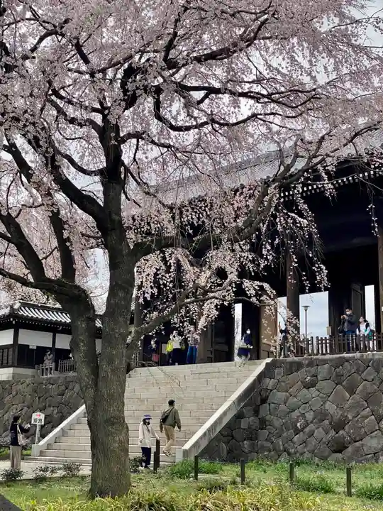 東郷寺(東京都)