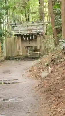 香取神宮の{uncategorized: "未分類", other: "その他", undefined: "問題あり", building: "その他建物", grave: "お墓", sacred_gate: "鳥居", guardian: "狛犬", statue: "像", buddha: "仏像", history: "歴史", nature: "自然", garden: "庭園", animal: "動物", pagoda: "塔", temizu: "手水舎", mountain_gate: "山門・神門", sanctuary: "本殿・本堂", subordinate: "末社・摂社", art: "芸術", scenery: "景色", jizo: "地蔵", ema: "絵馬", goshuin: "御朱印", omikuji: "おみくじ", items: "授与品その他", amulet: "お守り", goshuincho: "御朱印帳", eats: "食事", festival: "お祭り", votive_dance: "神楽", shichigosan: "七五三参", wedding: "結婚式", experience: "体験その他", initially: "初詣", around: "周辺", anti_infection: "感染症対策"}