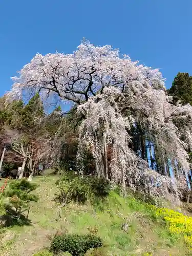 見渡神社の自然
