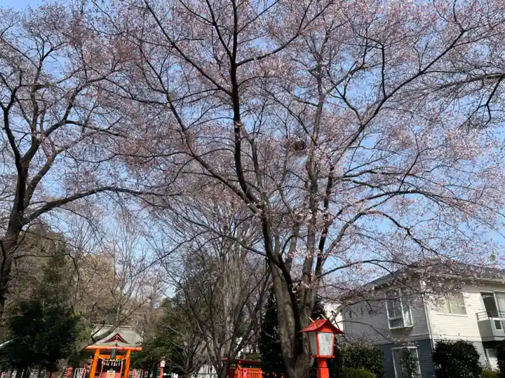 村富神社の自然