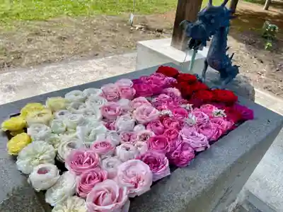 鹿追神社の手水舎