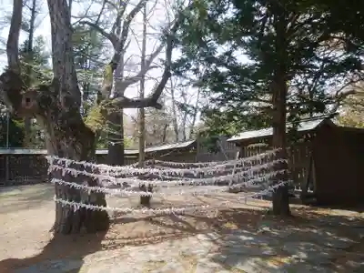 帯廣神社のその他建物