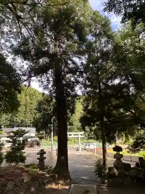 貴船神社(福井県)