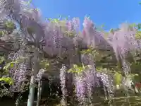 観音堂(山口県)