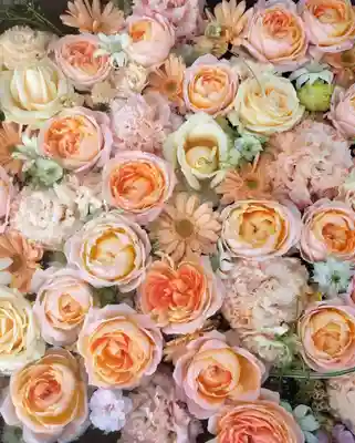 発寒神社(北海道)