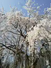 足羽神社の自然