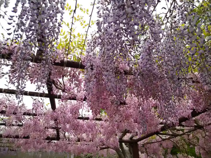 和氣神社(和気神社)の自然