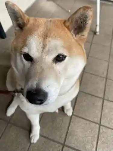 笠䅣稲荷神社(神奈川県)