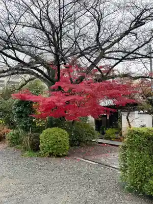 円常院(圓常院) enjoyntemple(京都府)