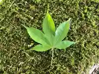 木舟山 順教寺の自然