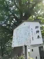 津島神社 御旅所跡の歴史