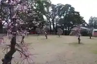 美奈宜神社(福岡県)