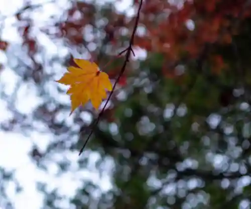 大瀧神社(長野県)