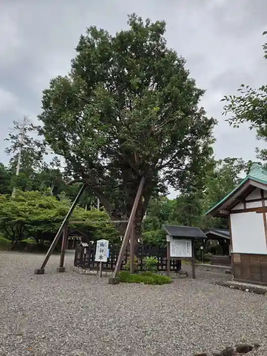 天宮神社(静岡県)