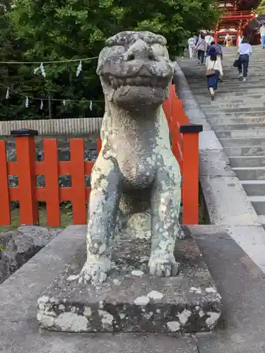 鶴岡八幡宮の狛犬