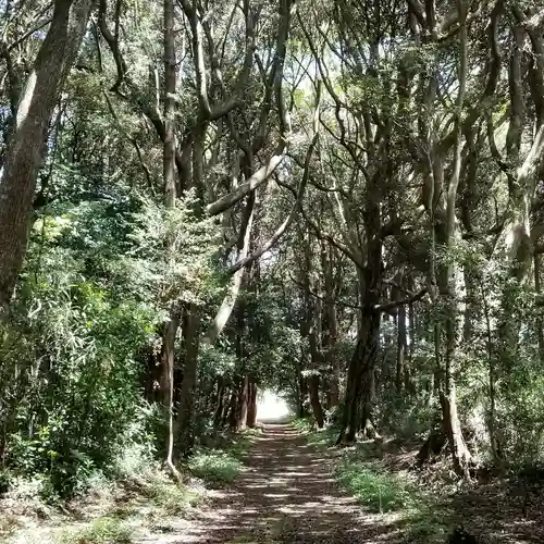 沼尾神社の自然