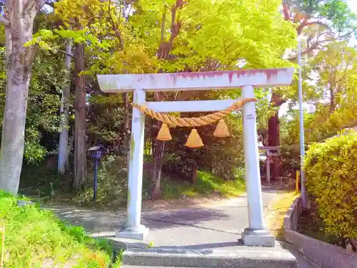 八王子神社の鳥居