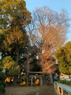 都部八坂神社(千葉県)