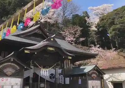 温泉神社〜いわき湯本温泉〜の本殿・本堂