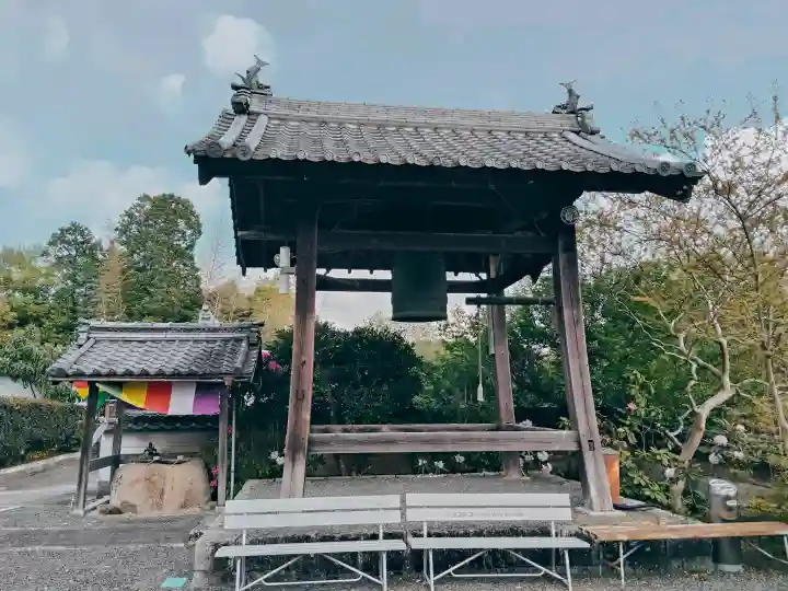 長楽寺の{uncategorized: "未分類", other: "その他", undefined: "問題あり", building: "その他建物", grave: "お墓", sacred_gate: "鳥居", guardian: "狛犬", statue: "像", buddha: "仏像", history: "歴史", nature: "自然", garden: "庭園", animal: "動物", pagoda: "塔", temizu: "手水舎", mountain_gate: "山門・神門", sanctuary: "本殿・本堂", subordinate: "末社・摂社", art: "芸術", scenery: "景色", jizo: "地蔵", ema: "絵馬", goshuin: "御朱印", omikuji: "おみくじ", items: "授与品その他", amulet: "お守り", goshuincho: "御朱印帳", eats: "食事", festival: "お祭り", votive_dance: "神楽", shichigosan: "七五三参", wedding: "結婚式", experience: "体験その他", initially: "初詣", around: "周辺", anti_infection: "感染症対策"}