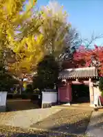 源光寺(回向院市川別院)の山門・神門